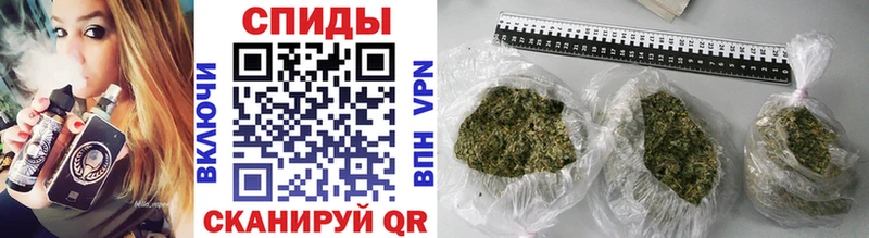 Купить закладки  Сердобск  Бутират 1.4BDO 