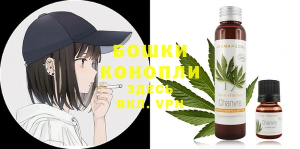 хмурый Новозыбков