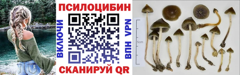 Купить где  Сердобск  Псилоцибиновые грибы ЛСД 